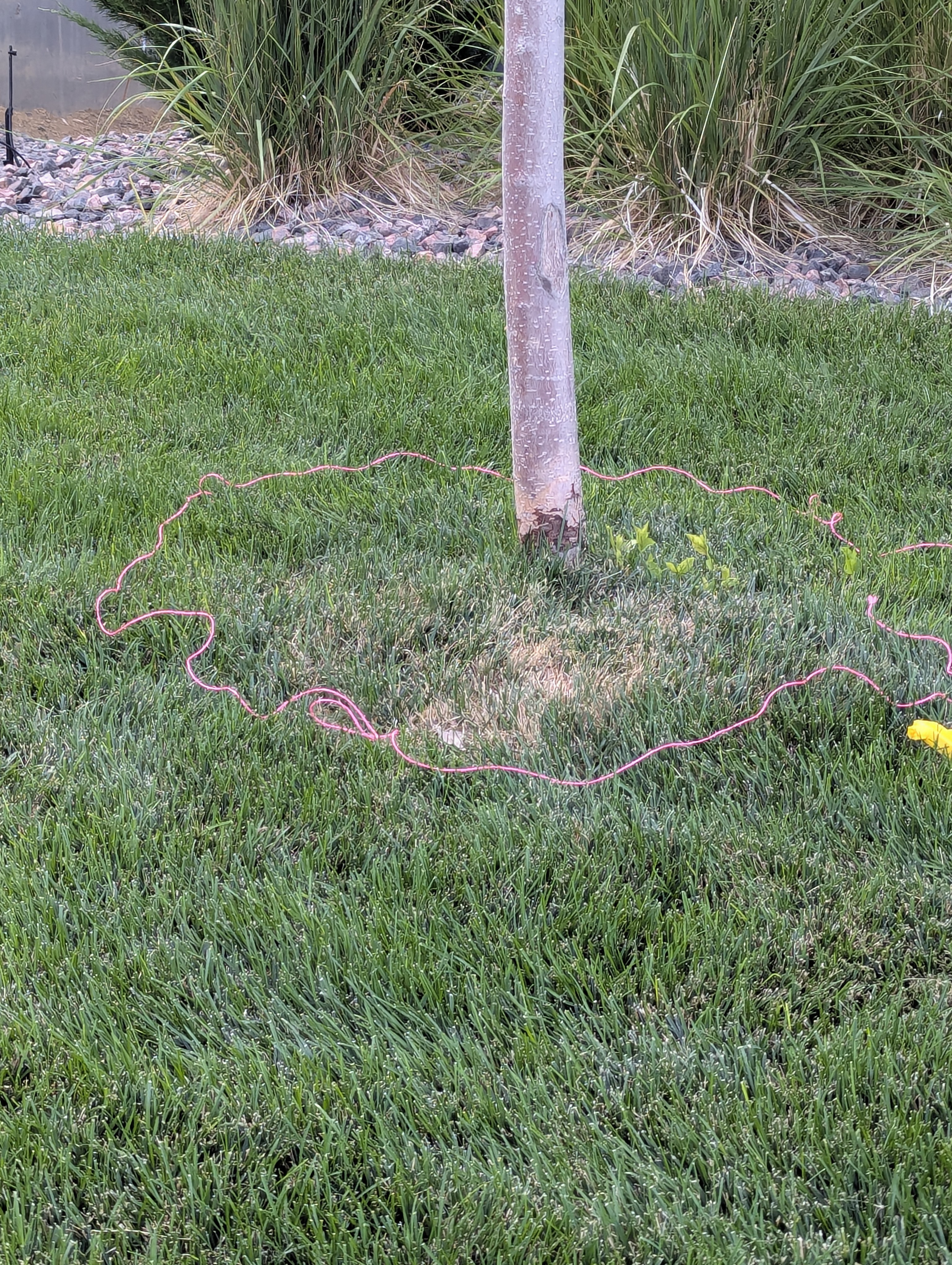 Garden, Morrison, Colorado